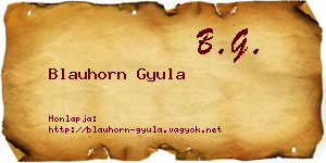 Blauhorn Gyula névjegykártya